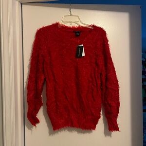 Red Fuzzy Sweater